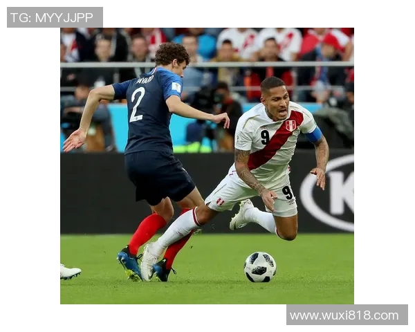 法国与秘鲁比赛必发数据分析及投注策略探讨