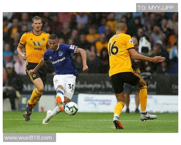 狼队与埃弗顿对决前瞻及比分预测分析助你掌握比赛动态